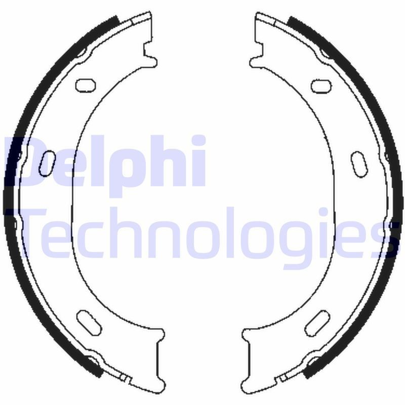 DELPHI LS1905: Piduriklotside komplekt, seisupidur