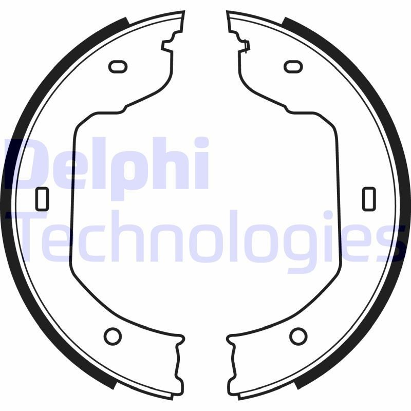 DELPHI LS1920: Piduriklotside komplekt, seisupidur