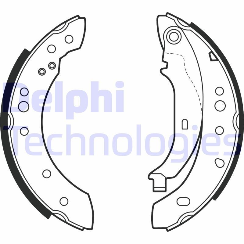 DELPHI LS2002: Piduriklotside komplekt