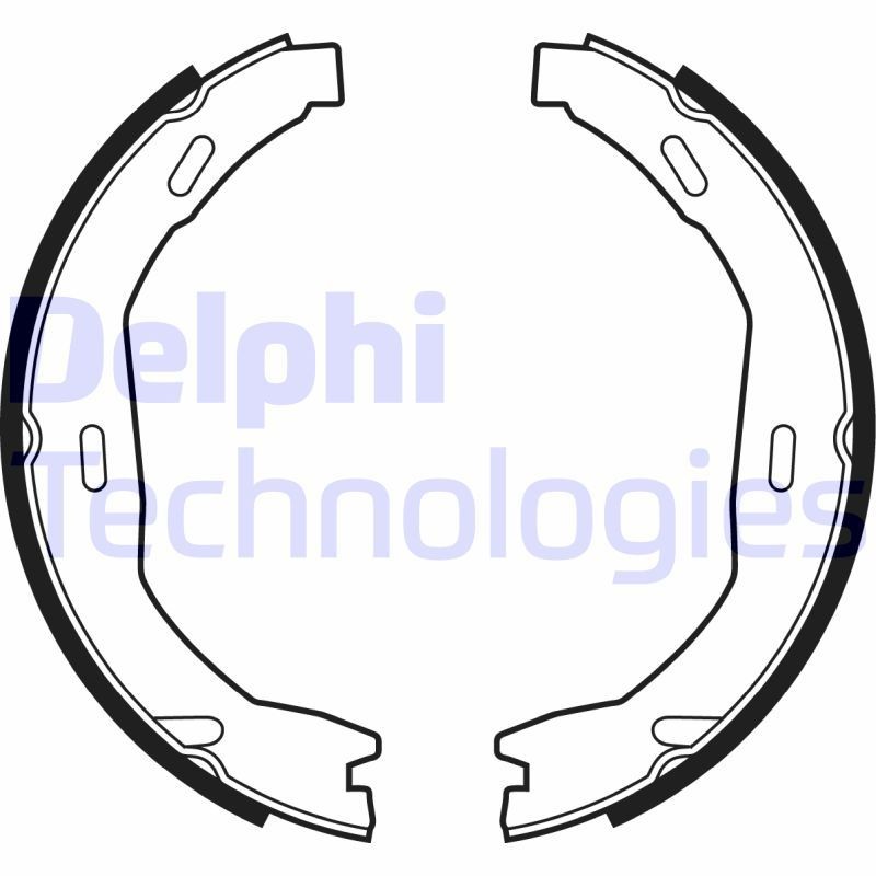 DELPHI LS2006: Piduriklotside komplekt, seisupidur