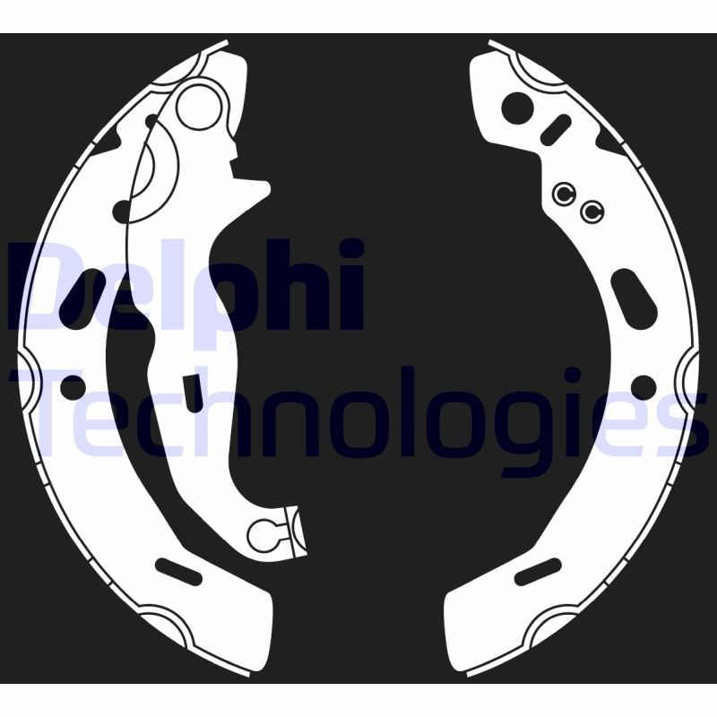 DELPHI LS2016: Piduriklotside komplekt