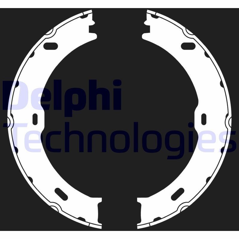 DELPHI LS2018: Piduriklotside komplekt, seisupidur