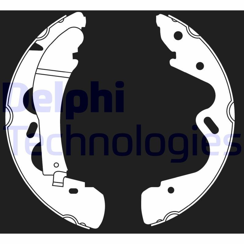 DELPHI LS2019: Piduriklotside komplekt