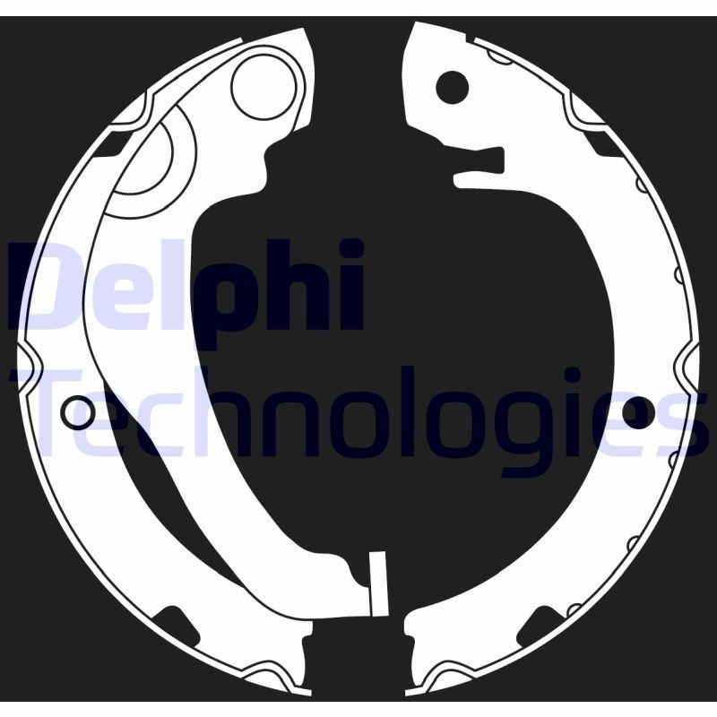 DELPHI LS2020: Piduriklotside komplekt