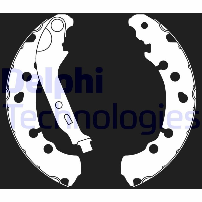 DELPHI LS2021: Piduriklotside komplekt
