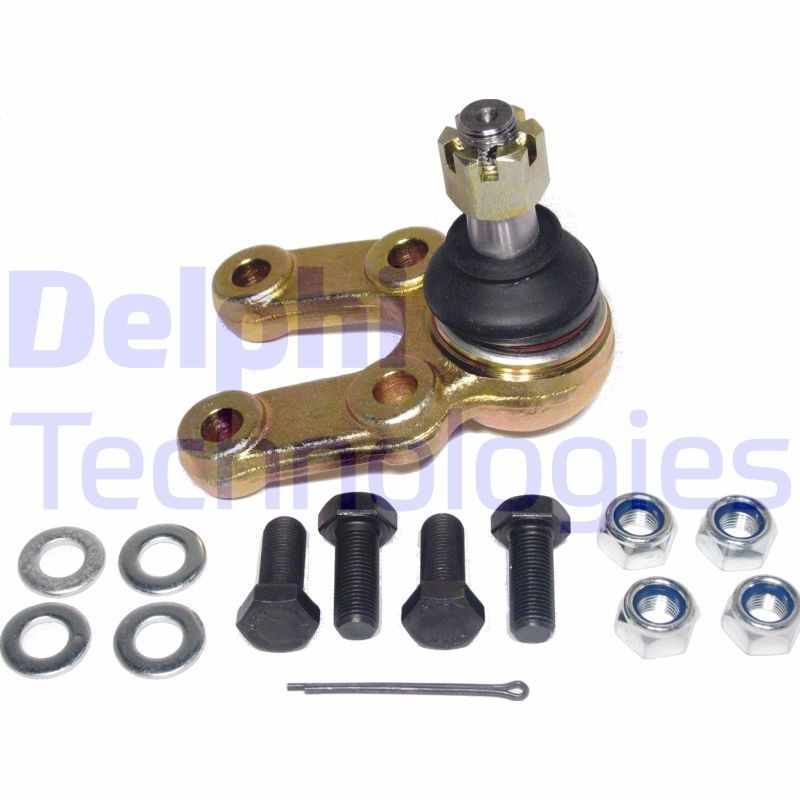 DELPHI TC1231: Kande- / juhtliigend Esisild