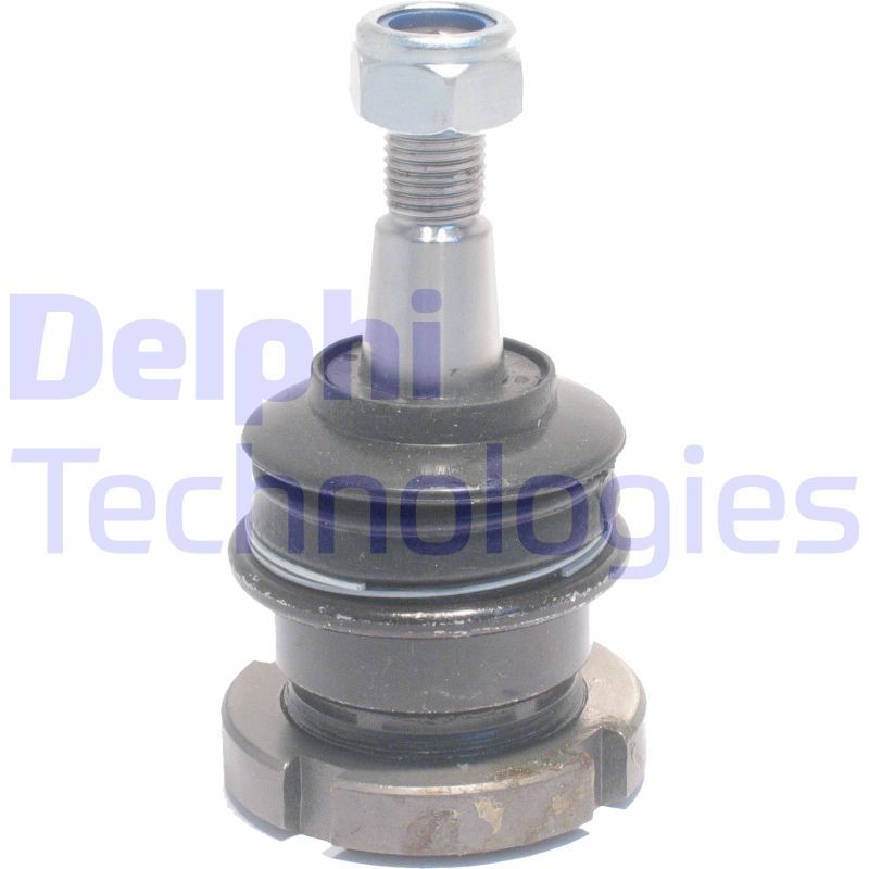 DELPHI TC1369: Kande- / juhtliigend Esisild
