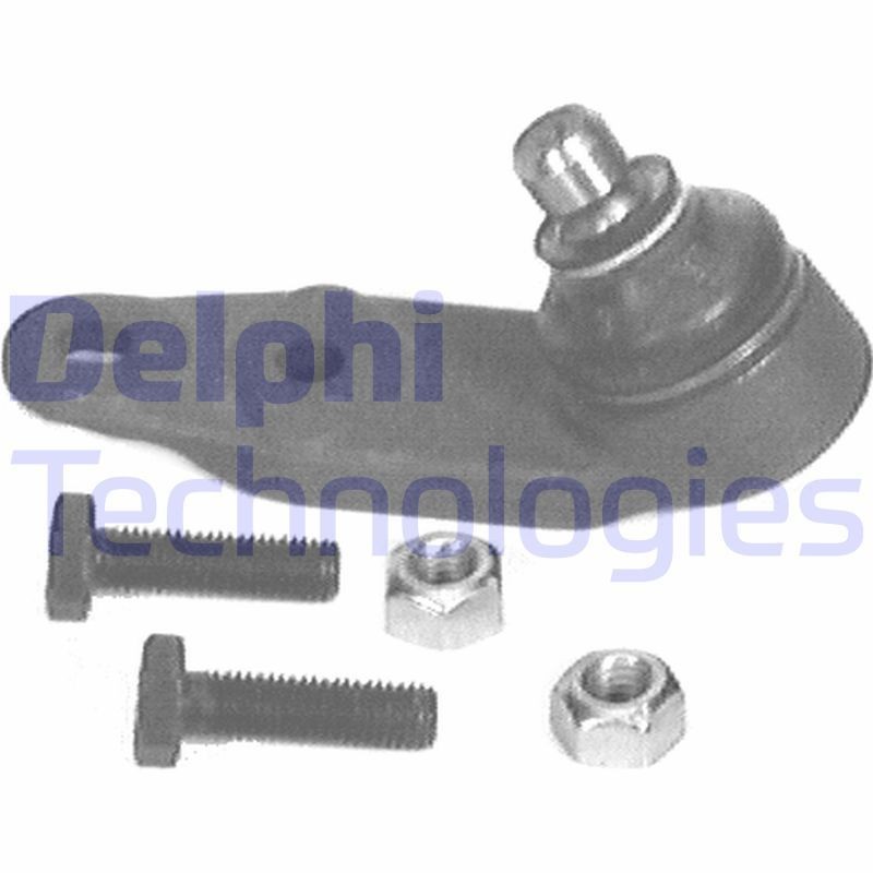 DELPHI TC174: Kande- / juhtliigend Esisild