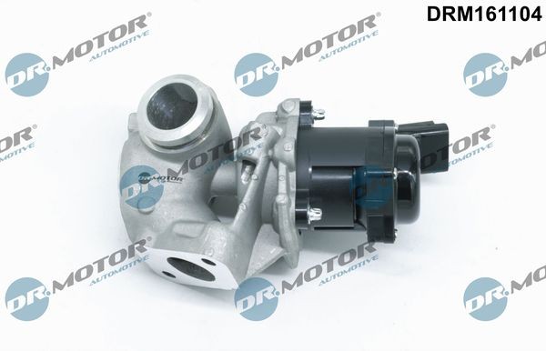 DR.MOTOR AUTOMOTIVE DRM161104: EGR klep Met pakking