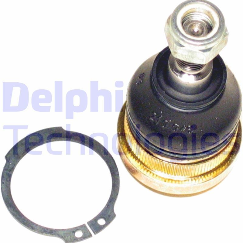 DELPHI TC2001: Kande- / juhtliigend Esisild