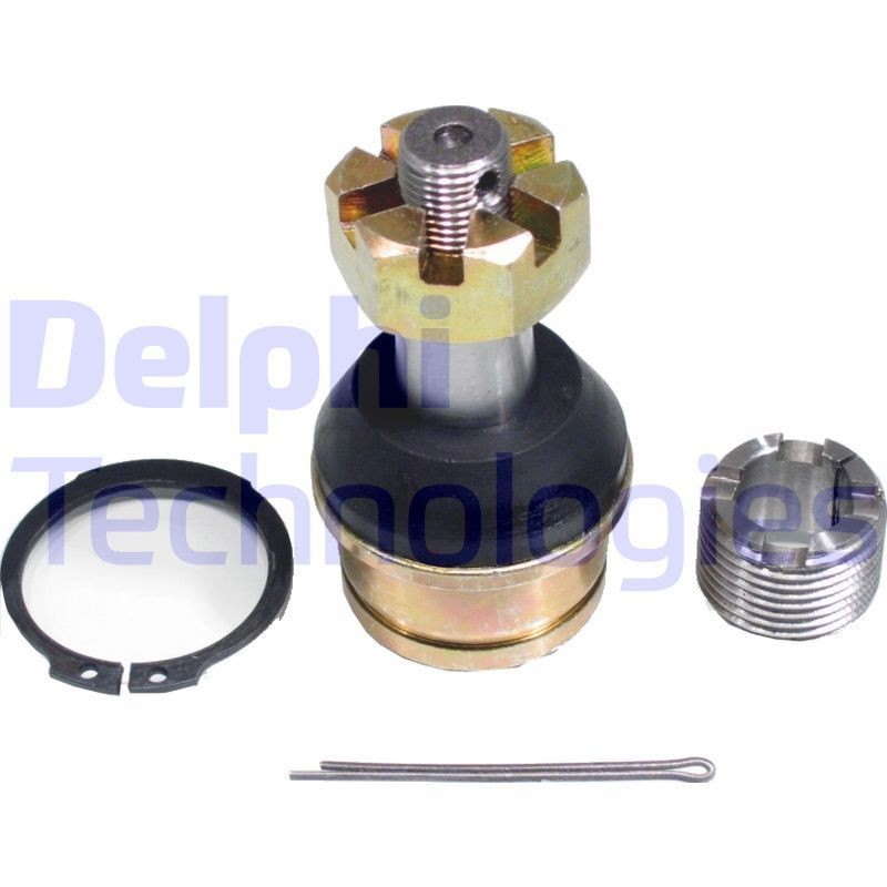 DELPHI TC2061: Kande- / juhtliigend Esisild