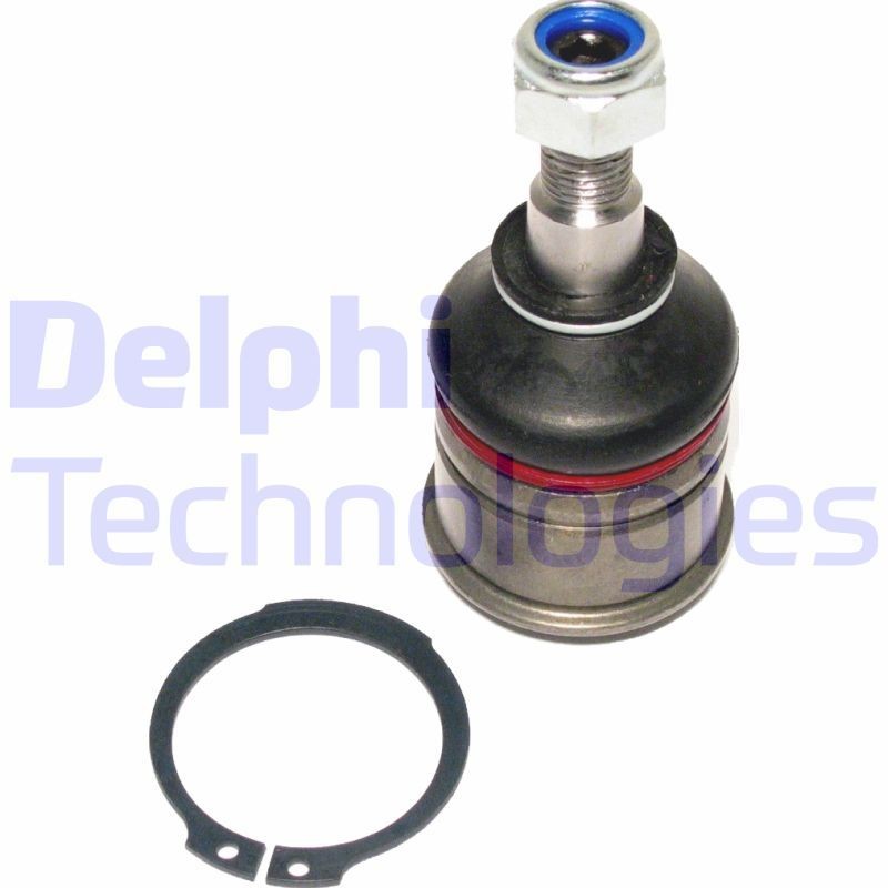 DELPHI TC379: Kande- / juhtliigend
