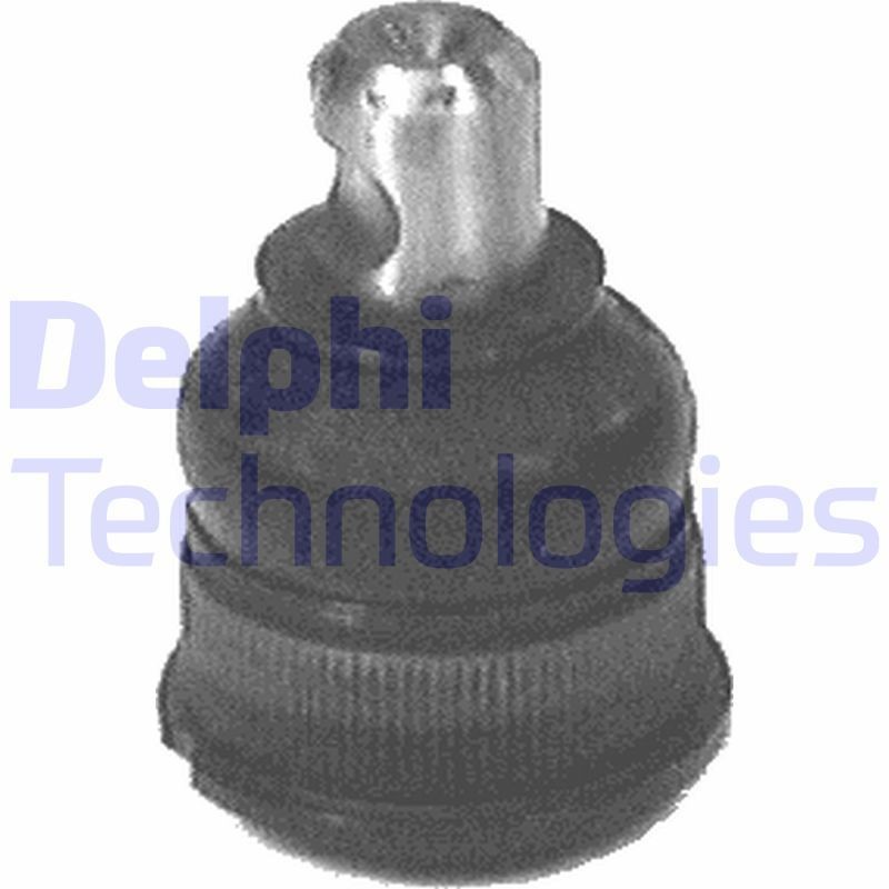DELPHI TC485: Kande- / juhtliigend Esisild