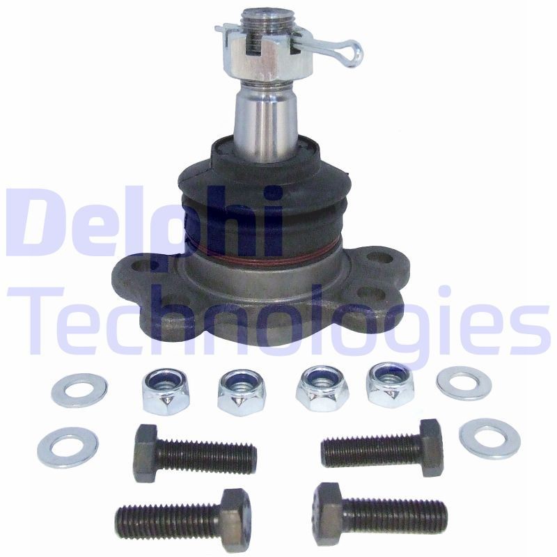 DELPHI TC549: Kande- / juhtliigend Esisild