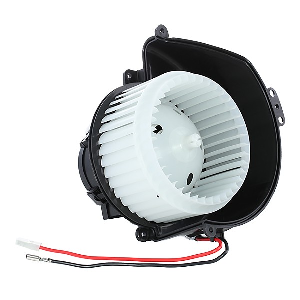 DELPHI TSP0545015: Salongipuhur 12V