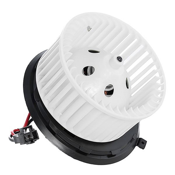 DELPHI TSP0545019: Salongipuhur 12V