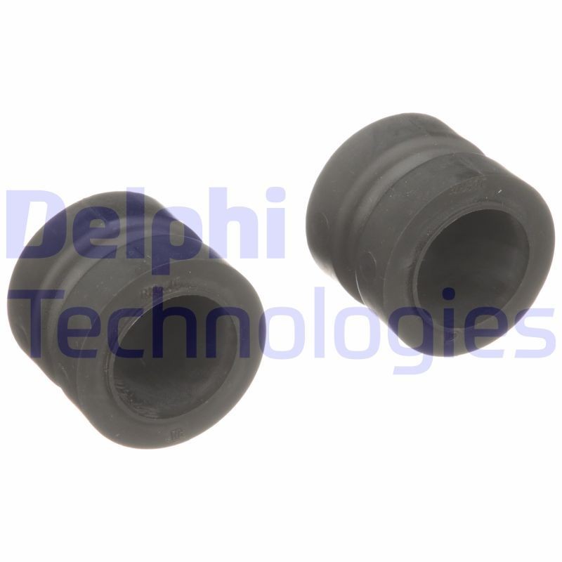 DELPHI TSP0585070: Ekspansiooniklapp, kliimaseade