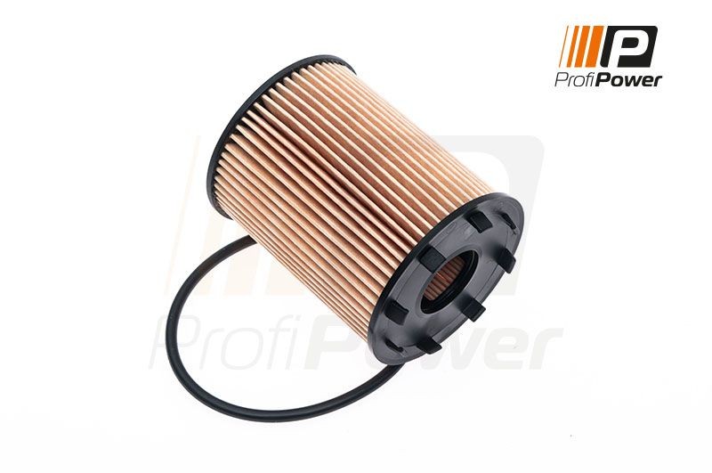 ProfiPower 1F0043: Õlifilter