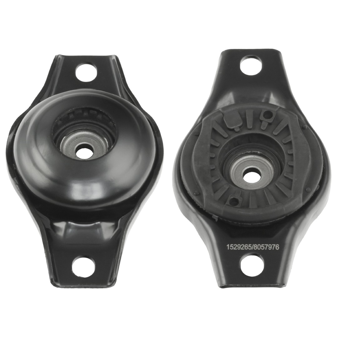 RIDEX 1180S0866: Rulment sarcina suport arc puntea spate