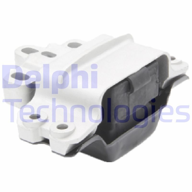 DELPHI TEM196: Variklio montavimas priekis