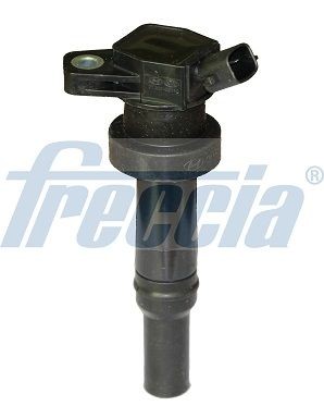 FRECCIA IC15-1109: Bobina de inductie 12V