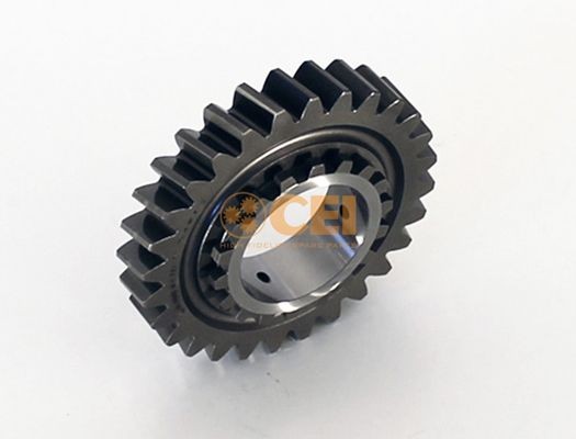CEI 145.459: Roata dintata, ax principal