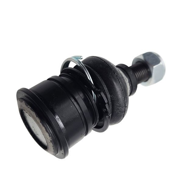 CTR CB0332: Kande- / juhtliigend Esisild, all