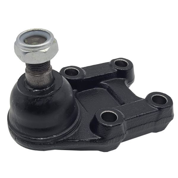 CTR CB0337: Kande- / juhtliigend Esisild, all