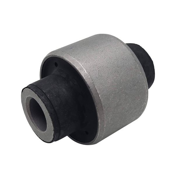 CTR GV0097: Puks Tagasild
