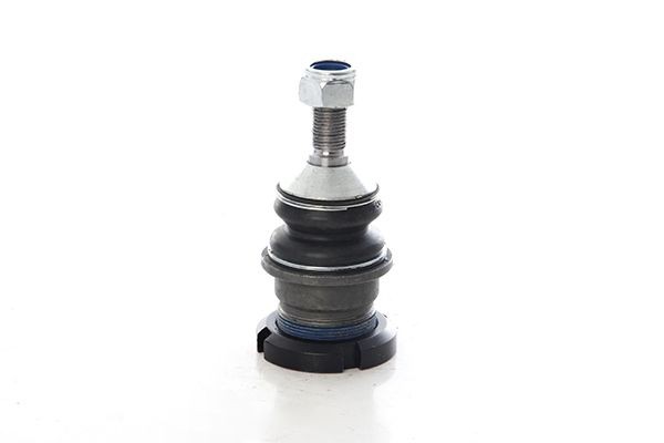 BSG BSG 60-310-303: Testina braccio oscillante Assale post. bilaterale