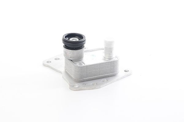 BSG BSG 60-506-013: Õliradiaator, mootoriõli