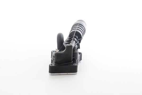 BSG BSG 60-506-014: Radiator ulei, ulei motor