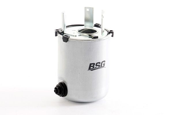 BSG BSG 75-130-019: Filtru combustibil