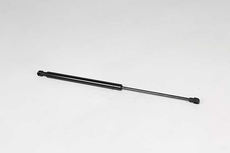 BSG BSG 75-980-011: Gaasivedru, pagasi- / veoruum kahepoolne, 450mm