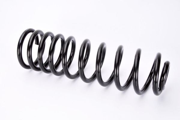 Magnum Technology SW064MT: Arc spiral puntea spate
