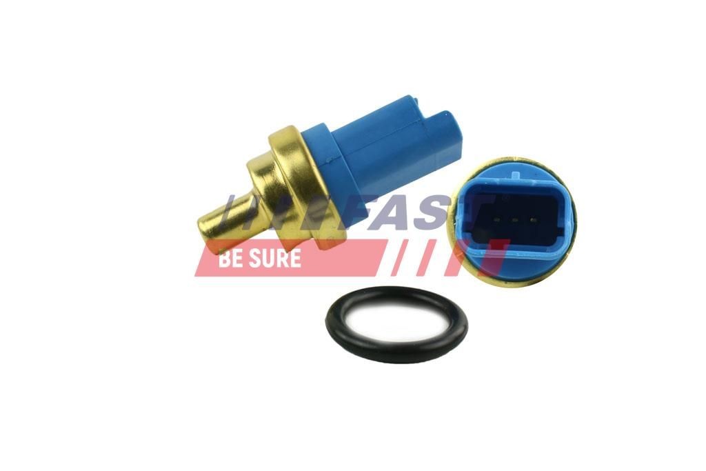 FAST FT80132: Senzor, temperatura lichid de racire