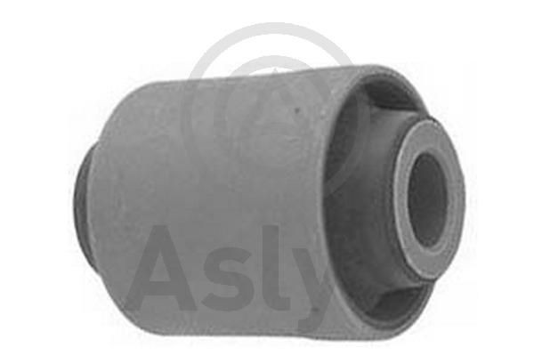 Aslyx AS-506666: Puks Tagasild üleval