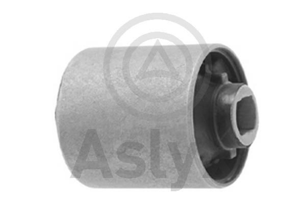 Aslyx AS-506857: Kinnitus, diferentsiaal