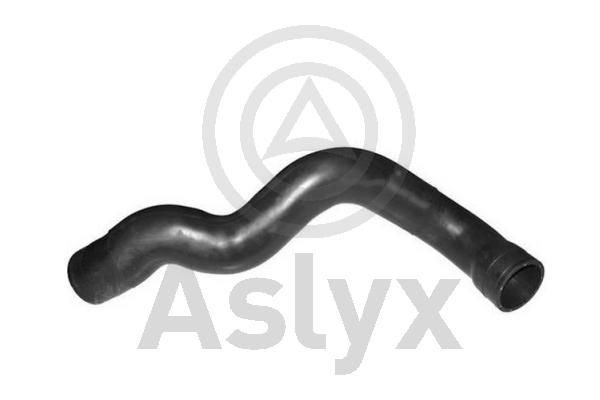 Aslyx AS-510038: Õhutoru,õhufilter