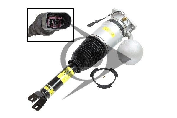 AIC 71075: Amortizor pneumatic Piese de schimb originale Dunlop Axa spate dreapta