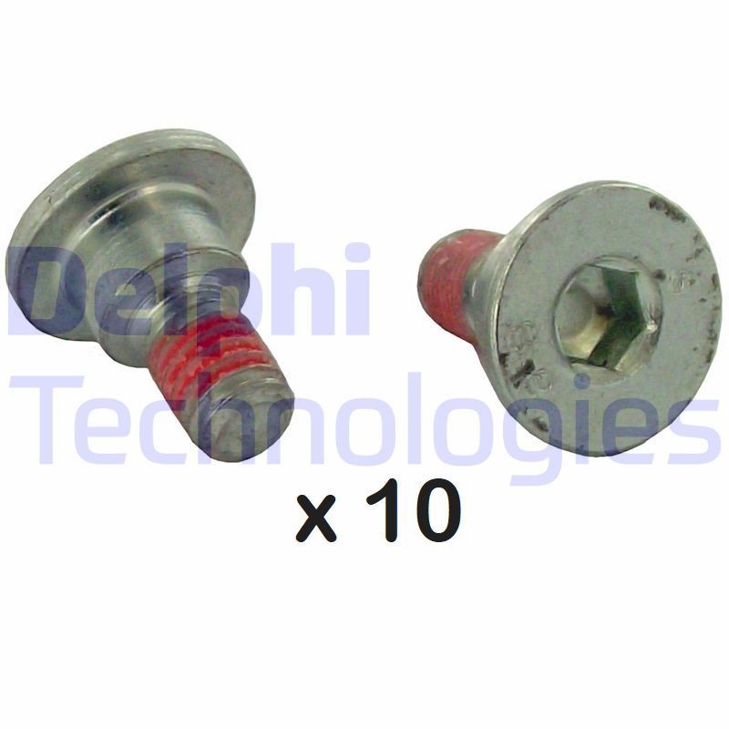 DELPHI BGK003: Kruvi, piduriketas