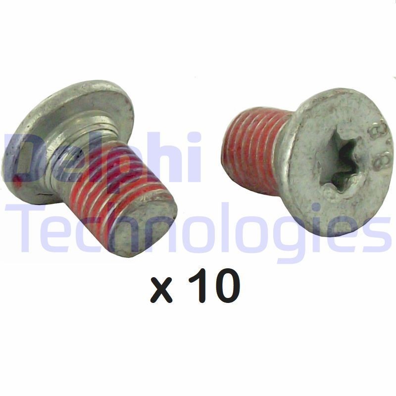 DELPHI BGK004: Kruvi, piduriketas