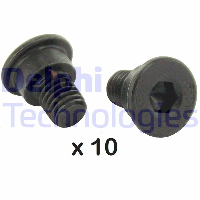 DELPHI BGK005: Kruvi, piduriketas