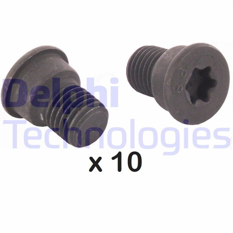 DELPHI BGK007: Kruvi, piduriketas