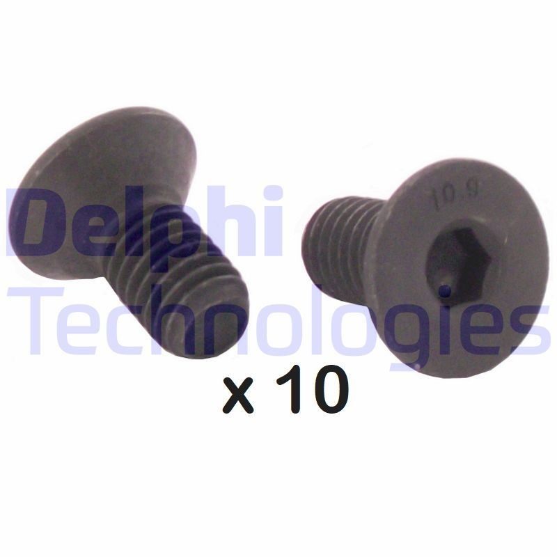 DELPHI BGK008: Kruvi, piduriketas