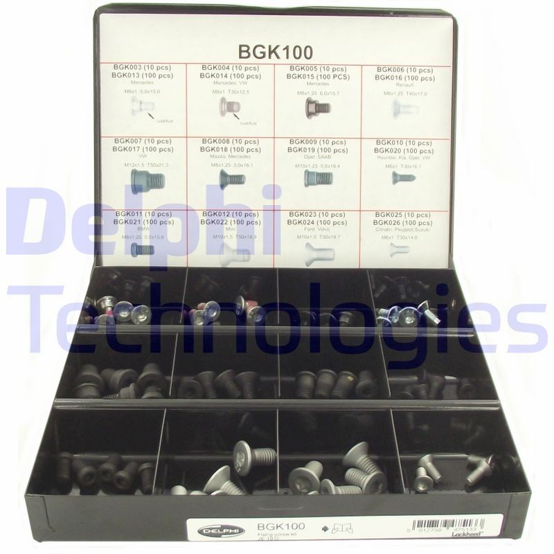 DELPHI BGK100: Kruvi, piduriketas