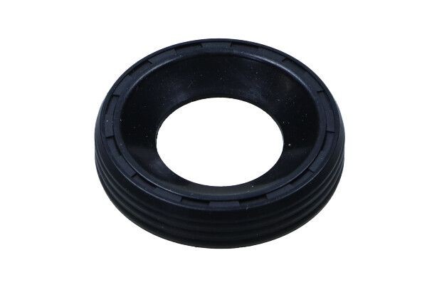 MAXGEAR 70-0109: Tihend, düüsikinnitus