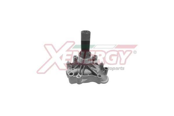 AP XENERGY X208053: Vandens siurblys su sandarikliu
