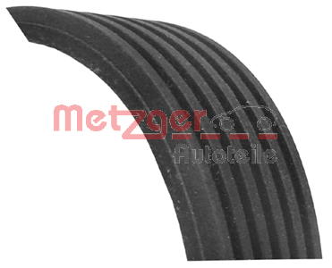 METZGER 6PK1885: Multireim 1885mm, Ribbeantall: 6, CST217