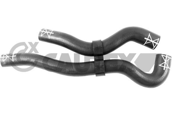 CAUTEX 769243: Furtun radiator